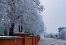 Jak zbudować solidne ogrodzenie od podstaw? Praktyczne porady i wybór materiałów