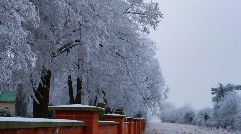 Jak zbudować solidne ogrodzenie od podstaw? Praktyczne porady i wybór materiałów